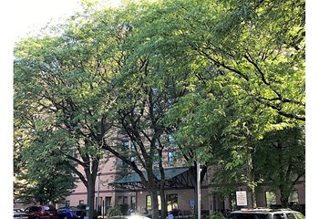 Senior Housing | Apartments in Lancaster | Lancaster House Apartments